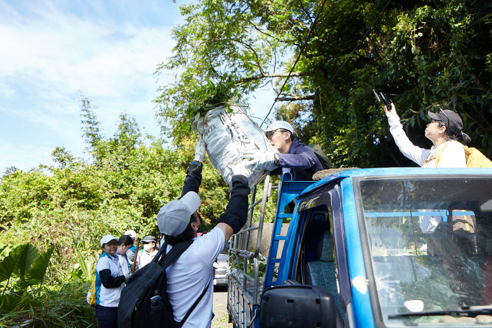 友達串聯志工組成水環境巡守隊 ，針對霄裡溪沿岸3公里的小花蔓澤蘭，定期進行移除與防治工作